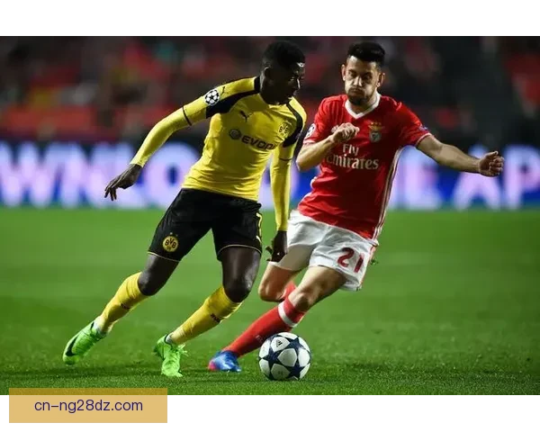 多特206场欧冠百胜里程碑