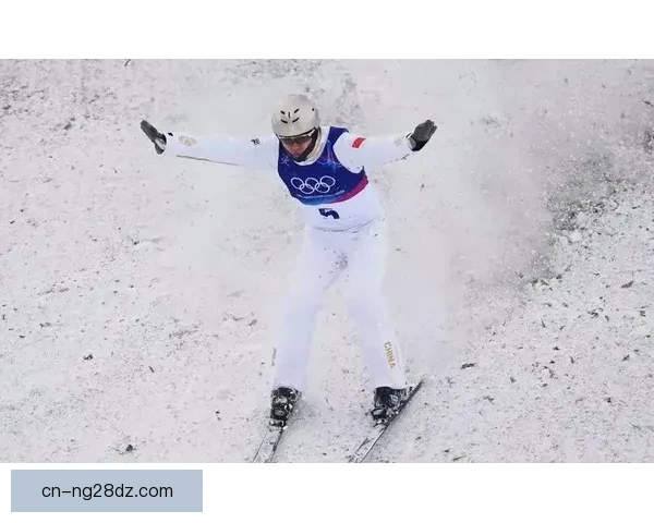 王心迪空中技巧夺四金夫妻双冠